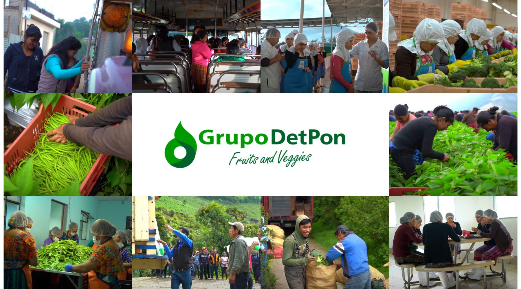 impacto social de grupo detpon